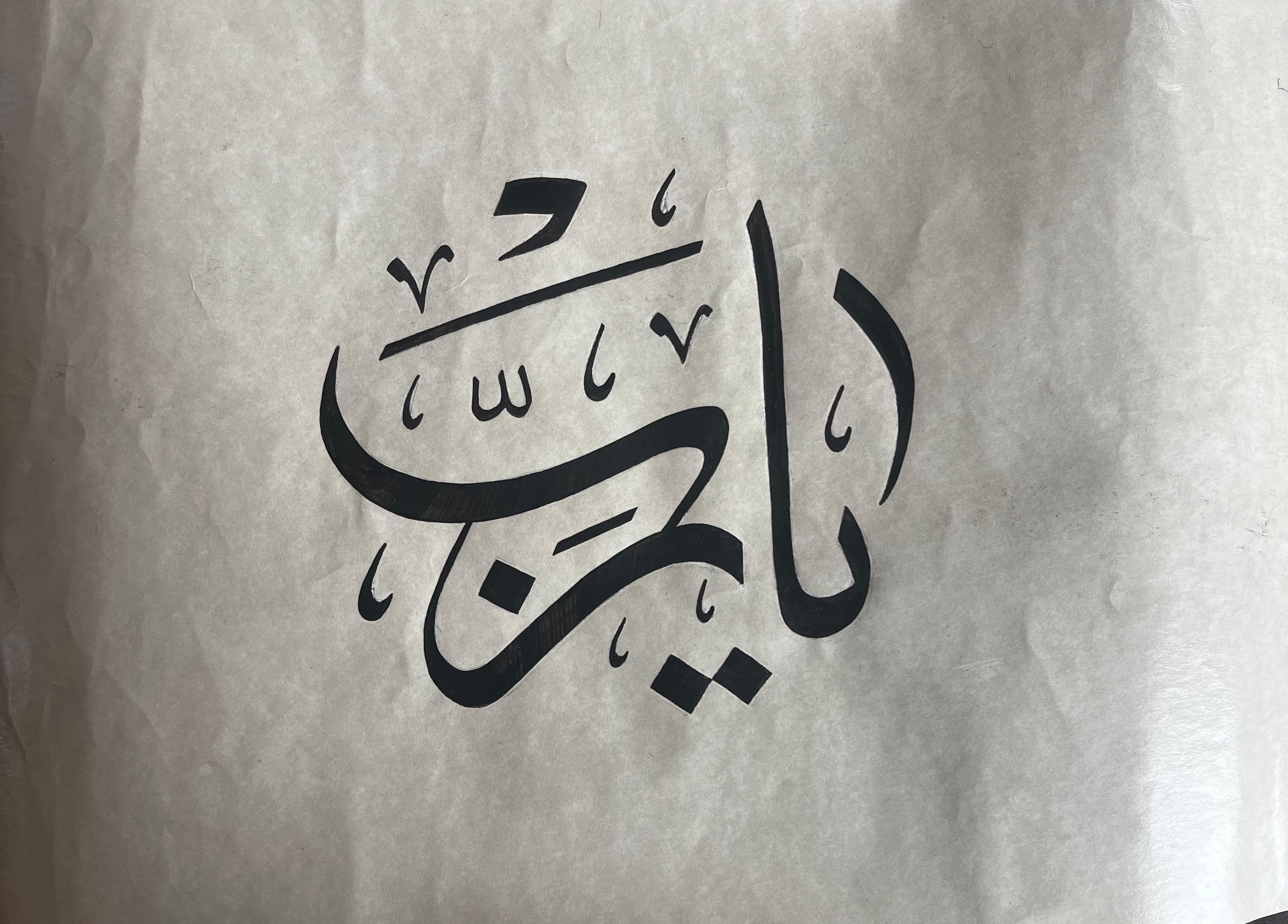 Ya Rabbi — Ravza Şenel