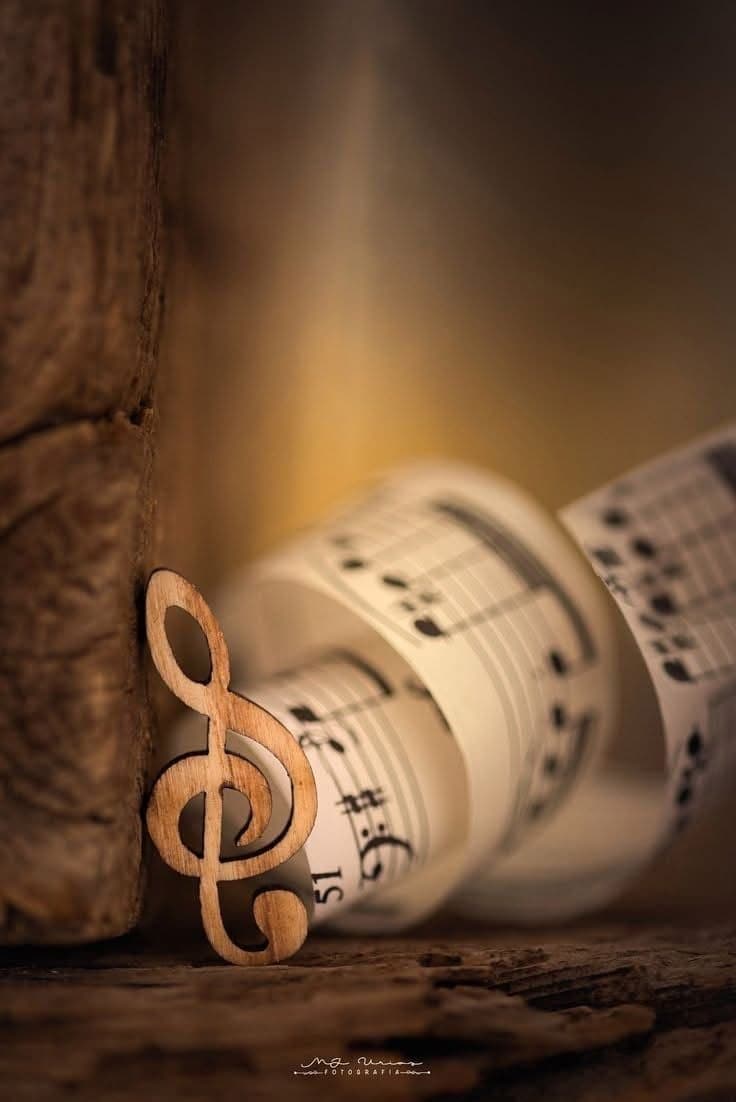 Müzik Teorisi